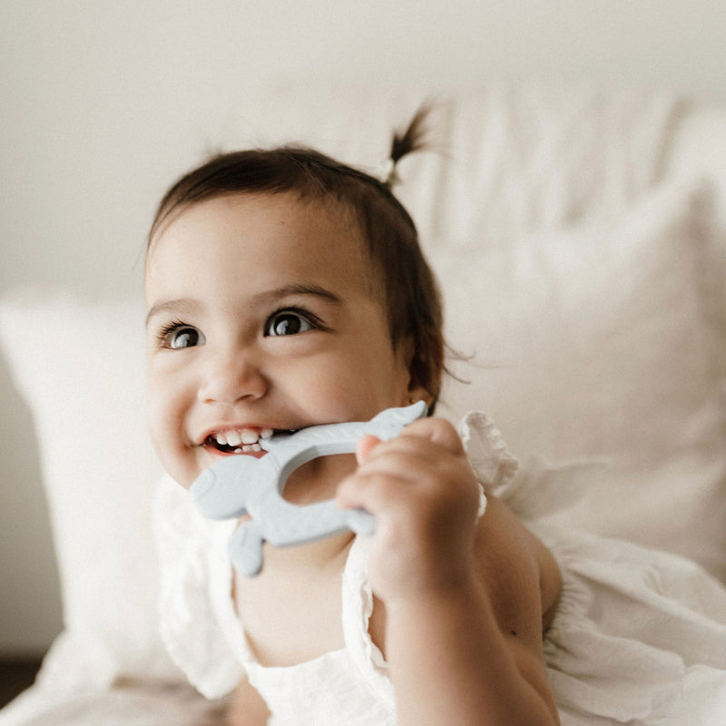 BO&KO Polynesian Turtle Teether Duck Egg Blue