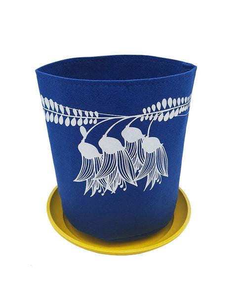 Live Wives Kowhai On Royal Blue Grow Bag