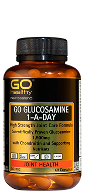 GO Glucosamine 1aDay 1500mg 90caps